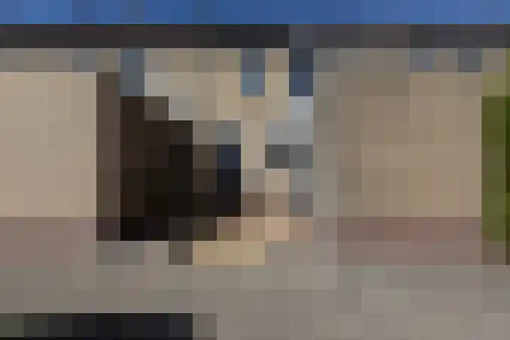 Jasker 22 Sneek thumbnail 46
