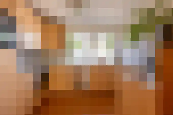 Jasker 22 Sneek thumbnail 8