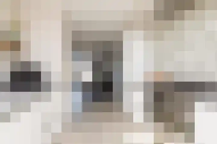 Jasker 22 Sneek thumbnail 9