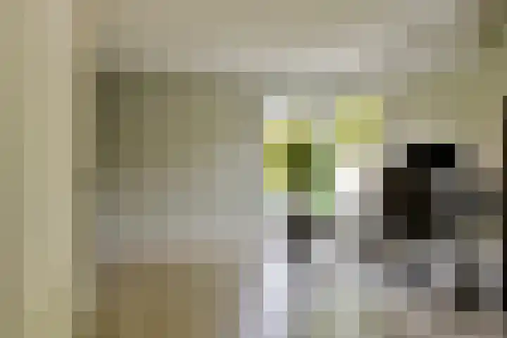Jasmijn 10 Geffen thumbnail 12