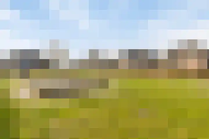 Jasmijn 10 Geffen thumbnail 35