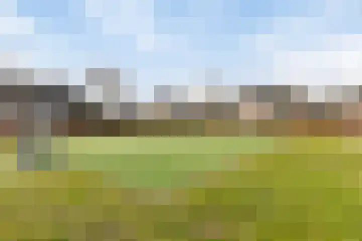 Jasmijn 10 Geffen thumbnail 37