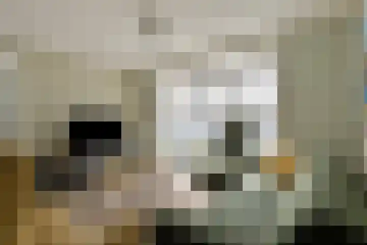 Jasmijn 10 Geffen thumbnail 5