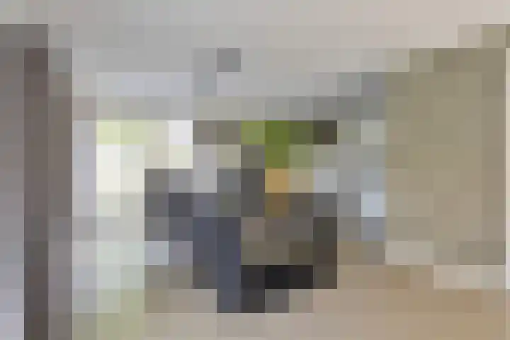 Jasmijn 10 Geffen thumbnail 7