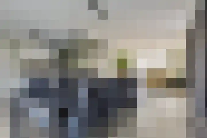 Jasmijn 10 Geffen thumbnail 8