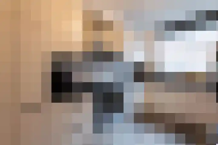 Jasmijn 15 Hellevoetsluis thumbnail 19