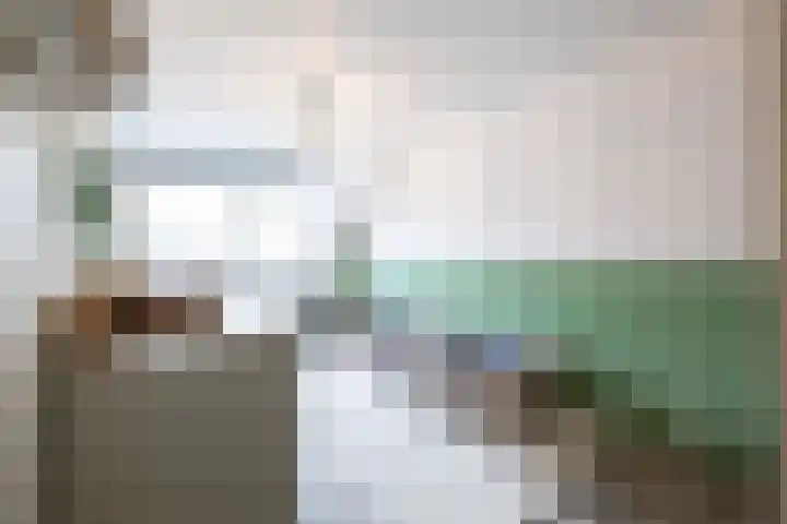 Jasmijn 15 Hellevoetsluis thumbnail 4