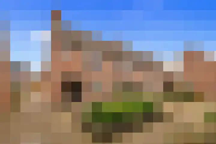 Jasmijn 15 Hellevoetsluis thumbnail 41
