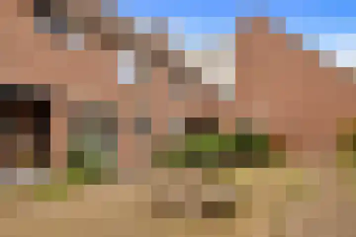 Jasmijn 15 Hellevoetsluis thumbnail 7