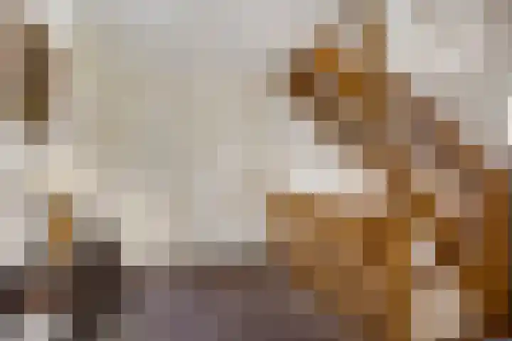 Jasmijn 16 Geffen thumbnail 38