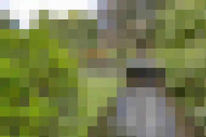 Jasmijn 16 Geffen thumbnail 58