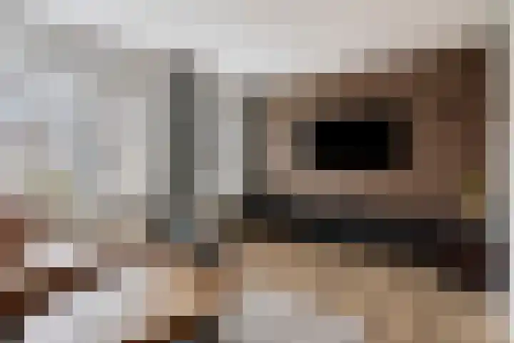 Jasmijn 4 Coevorden thumbnail 12