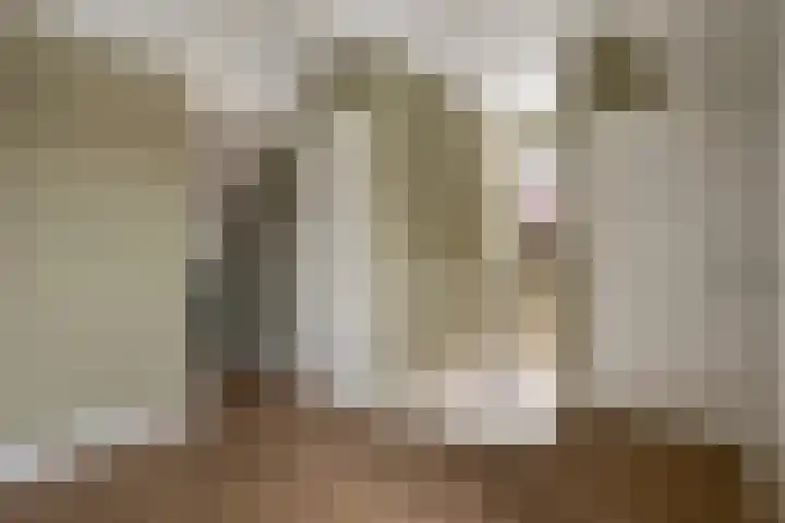 Jasmijn 4 Coevorden thumbnail 33