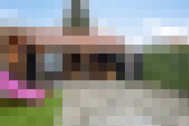 Jasmijn 4 Coevorden thumbnail 41