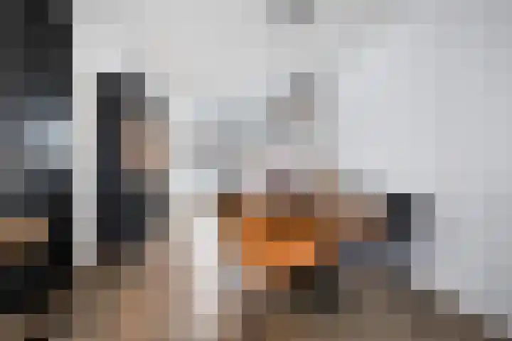 Jasmijn 4 Coevorden thumbnail 9