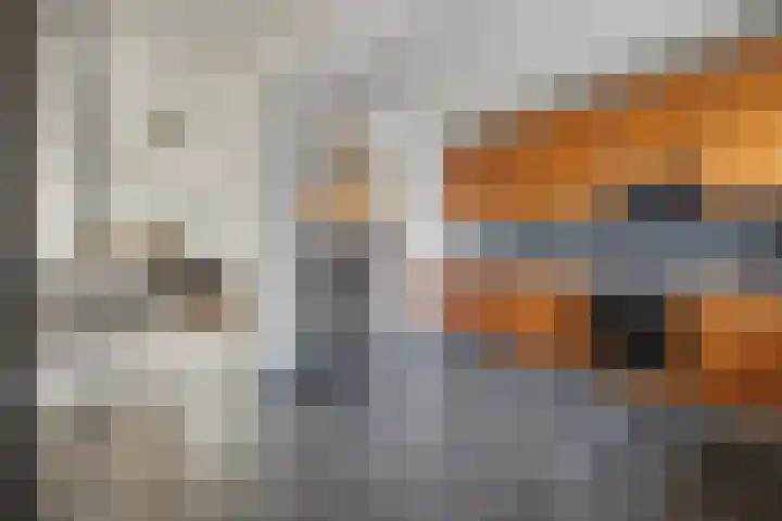 Jasmijnlaan 183 Winterswijk thumbnail 15