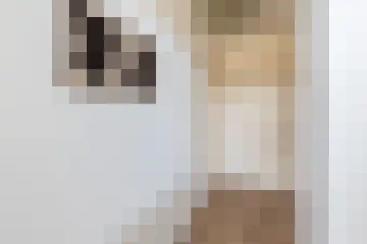 Jasmijnlaan 3 Gouda thumbnail 12