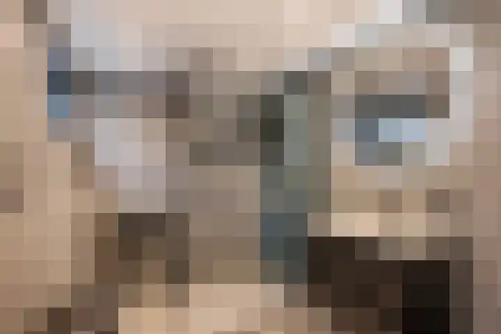 Jasmijnlaan 3 Gouda thumbnail 33