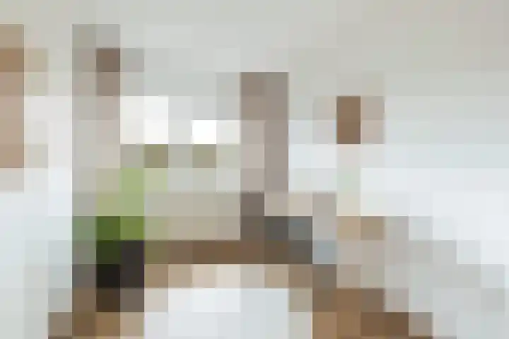 Jasmijnlaan 3 Gouda thumbnail 46