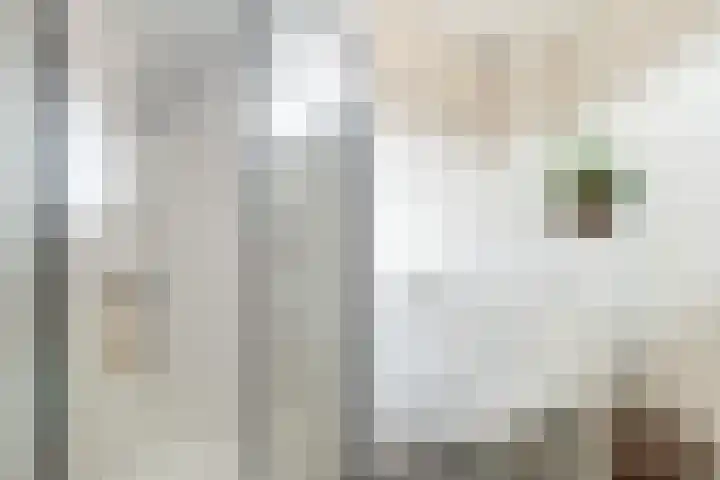 Jasmijnlaan 3 Gouda thumbnail 52