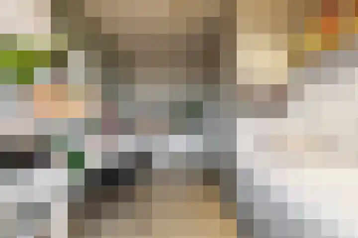 Jasmijnlint 20 Limmen thumbnail 21