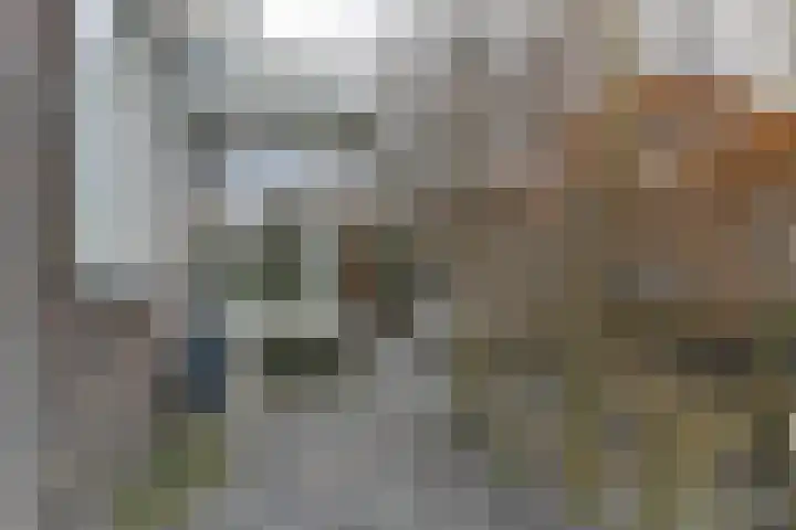 Jasmijnlint 20 Limmen thumbnail 41