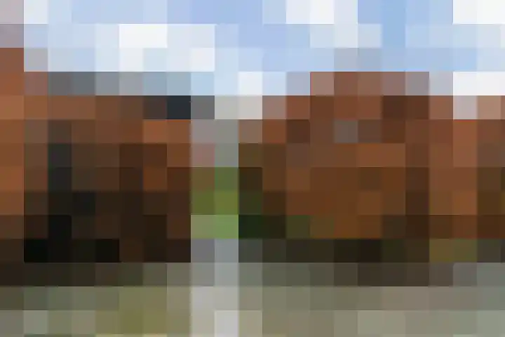 Jasmijnlint 20 Limmen thumbnail 47