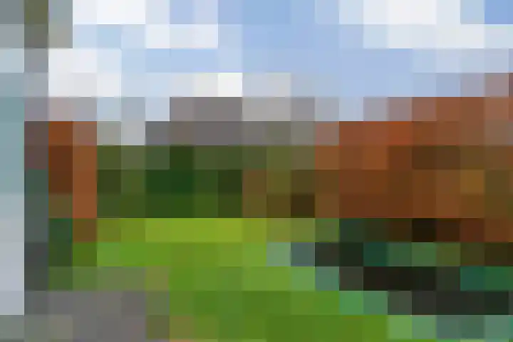 Jasmijnlint 20 Limmen thumbnail 48