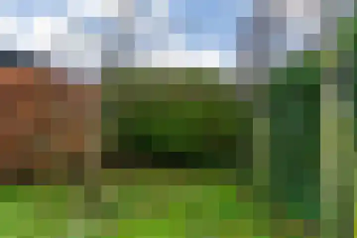 Jasmijnlint 20 Limmen thumbnail 50
