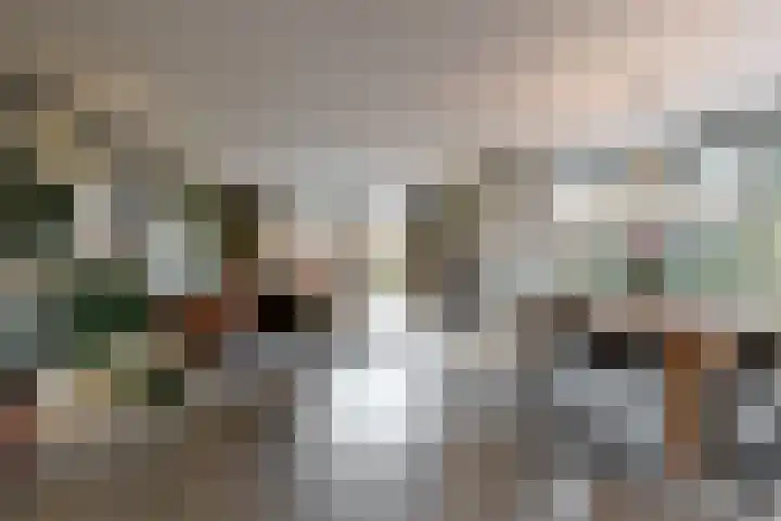 Jasmijnlint 20 Limmen thumbnail 8