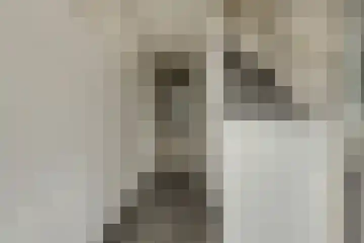 Jasmijnstraat 37 Breda thumbnail 21