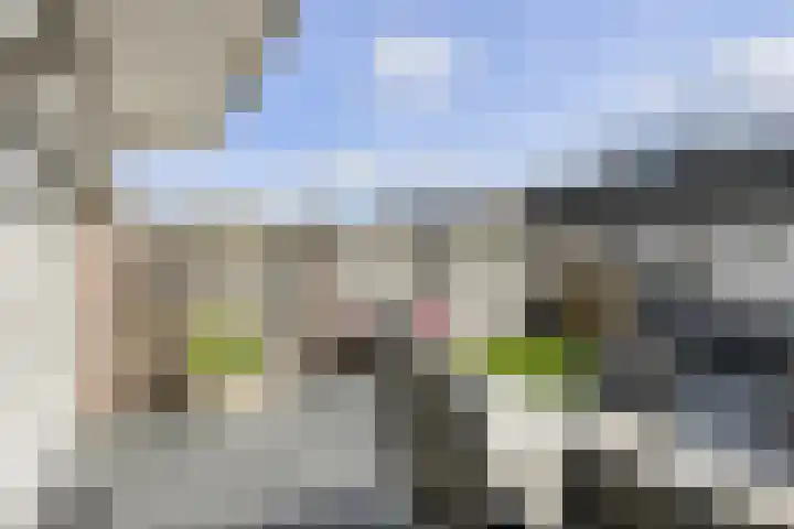Jasmijnstraat 37 Breda thumbnail 45
