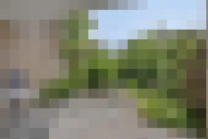 Jasmijnstraat 67 Ridderkerk thumbnail 22