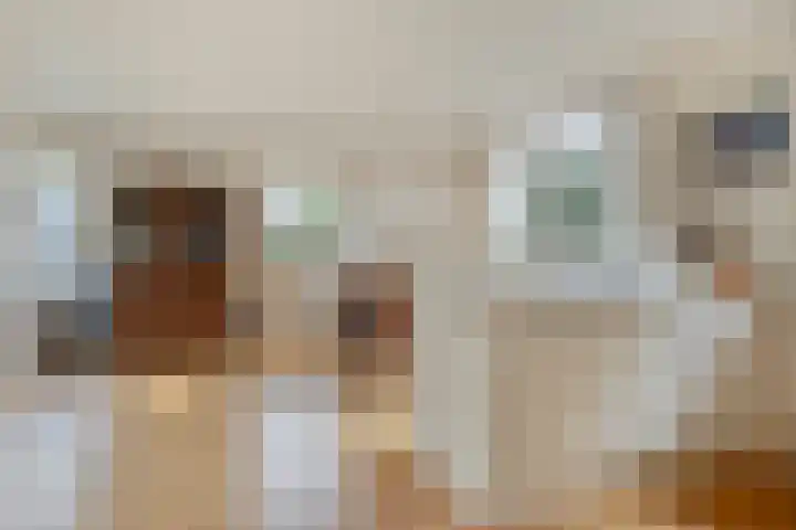 Jasmijnstraat 7 Vaassen thumbnail 11