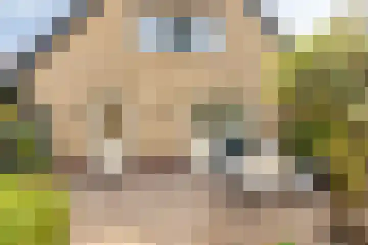 Jasmijnstraat 7 Vaassen thumbnail 28