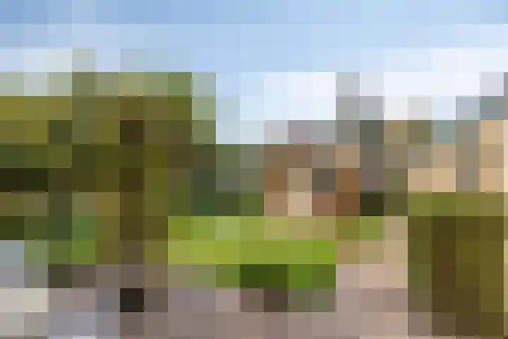 Jasmijnstraat 7 Vaassen thumbnail 30