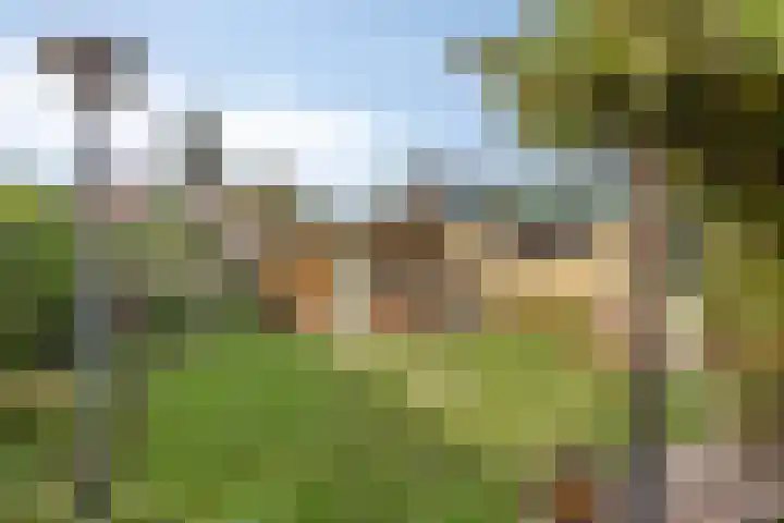 Jasmijnstraat 7 Vaassen thumbnail 31