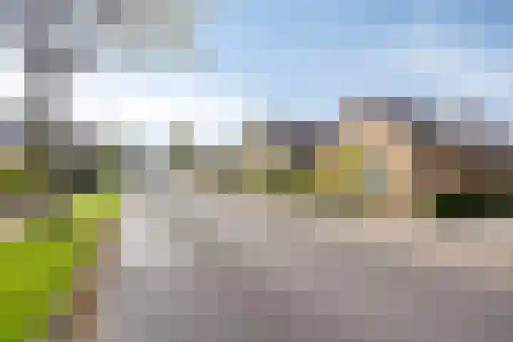 Jasmijnstraat 7 Vaassen thumbnail 34
