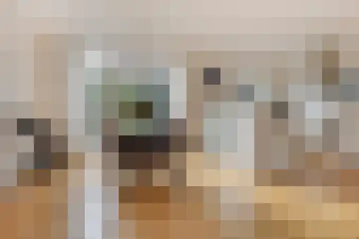 Jasmijnstraat 7 Vaassen thumbnail 7