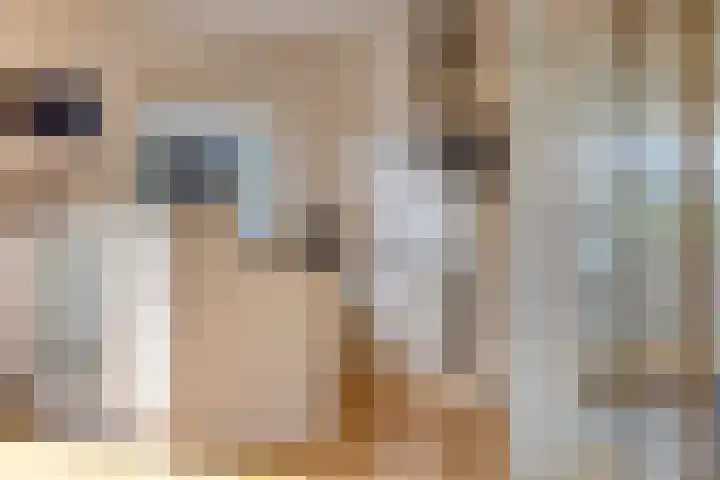Jasmijnstraat 7 Vaassen thumbnail 8