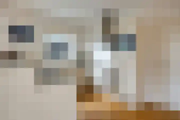 Jasmijnstraat 7 Vaassen thumbnail 9