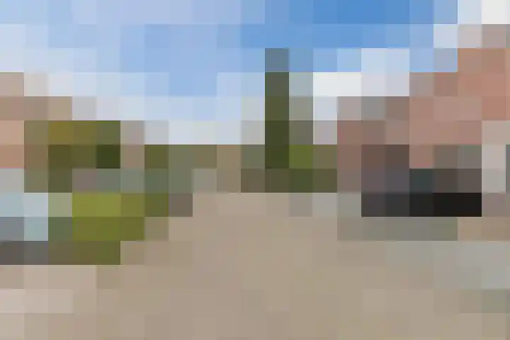 Jasmijnstraat 8 Echt thumbnail 35