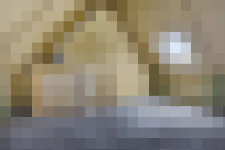 Jaspisdreef 2 Emmen thumbnail 15