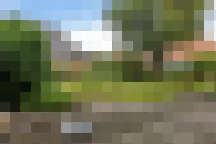 Jaspisdreef 2 Emmen thumbnail 18