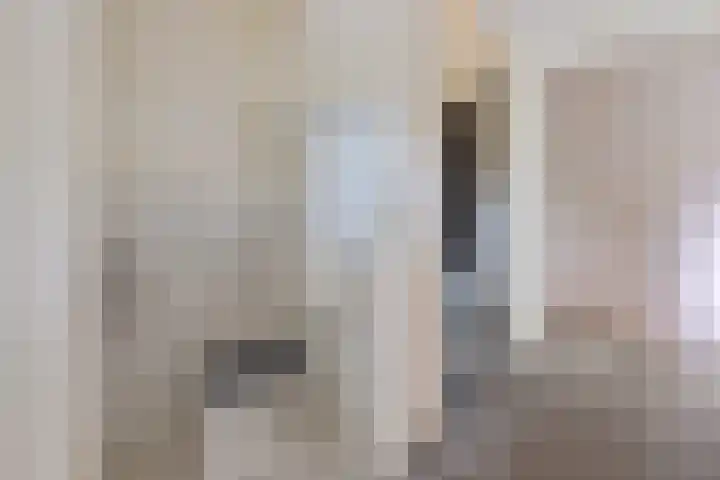 Jaspisdreef 2 Emmen thumbnail 8