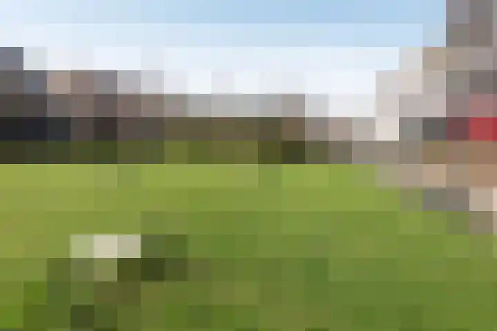 Javakade 182 Amsterdam thumbnail 22