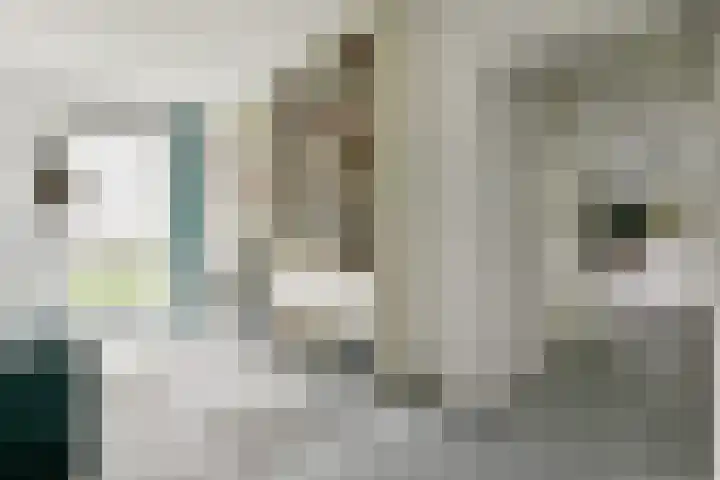 Javakade 84 Amsterdam thumbnail 18