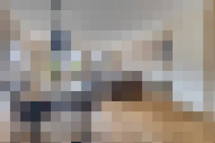 Javalaan 3 Zoetermeer thumbnail 10