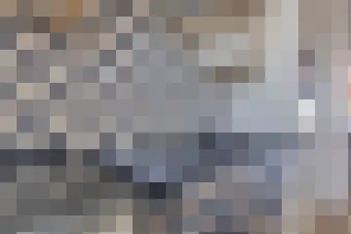 Javalaan 3 Zoetermeer thumbnail 12