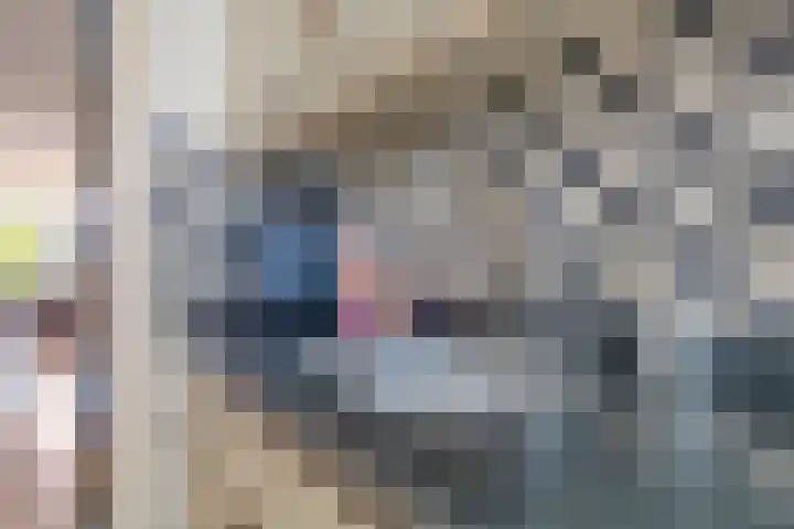 Javalaan 3 Zoetermeer thumbnail 13